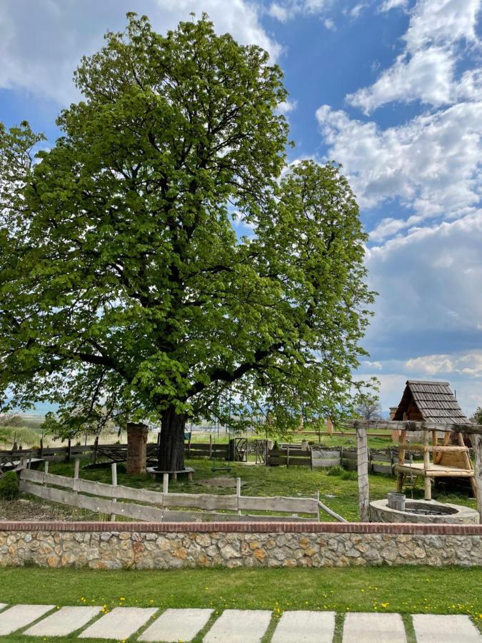 Kastely Grof Zichy Hotel Haniska Eksteriør billede